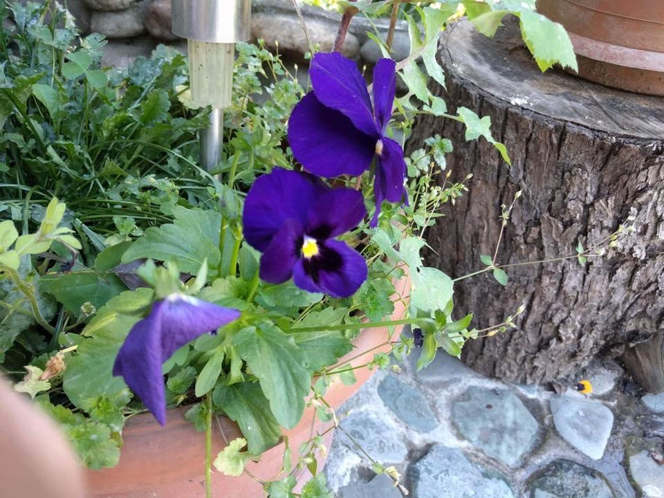 Nina B&B Dilijan Exterior foto