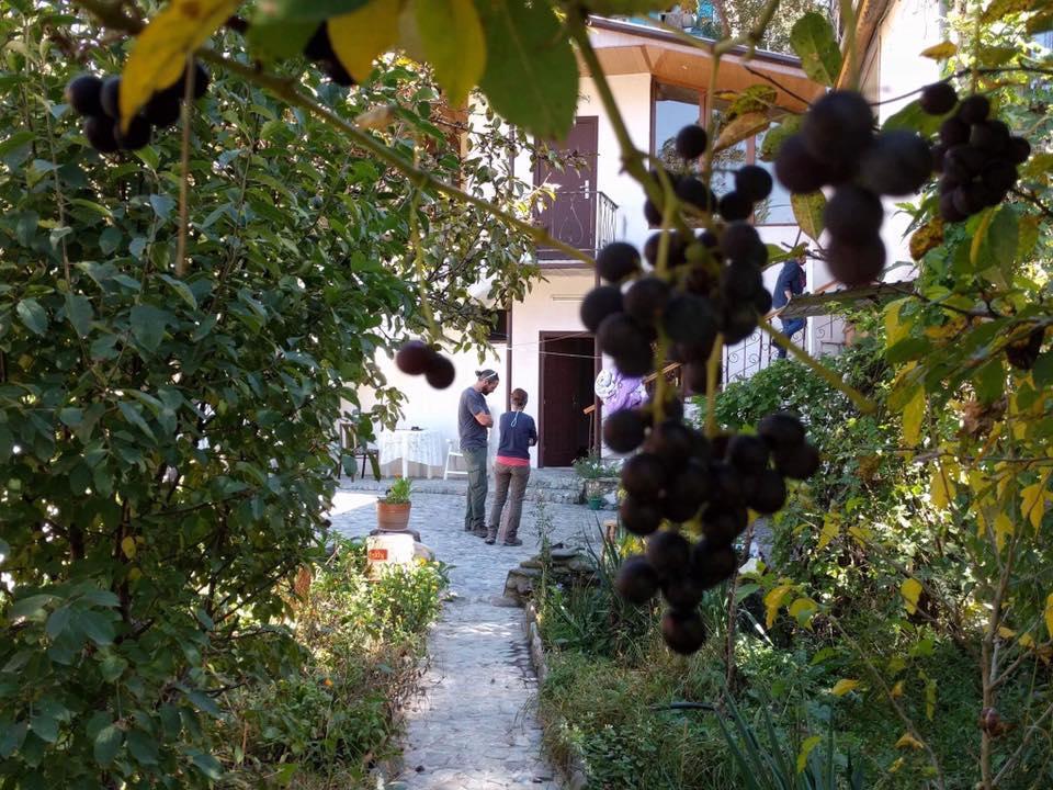Nina B&B Dilijan Exterior foto